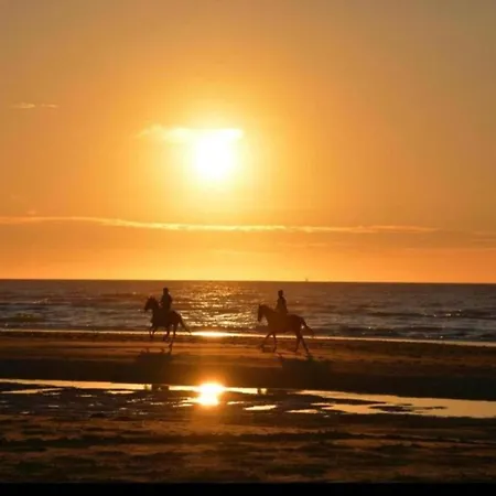 דירה In Near The