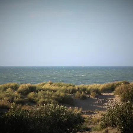 Apartamento In Near The De Haan