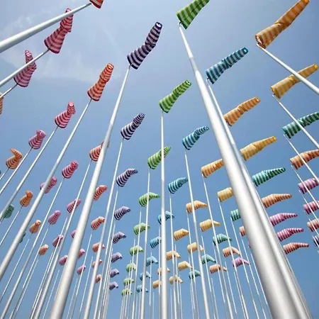 In Near The דירה