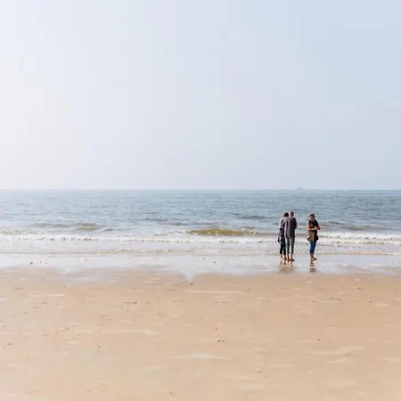 In Near The דה האן