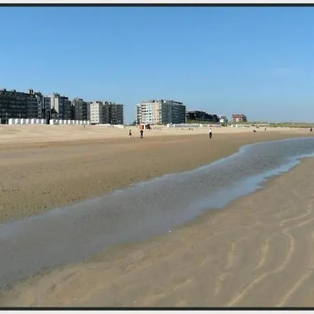 In Near The דירה